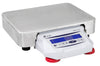 BL 30K1 Bilancia tecnica di precisione digitale con capacità di pesata: 30KG. e risoluzione: 0,1 g.
