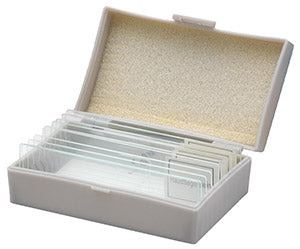 Confezione n5 vetrini preparati in plastica (5 vetrini preparati-5 vetrini portaoggetto)