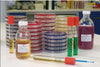 Haemophilus Test Medium (HTM) Conf. 10 piastre