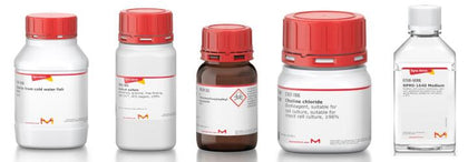 Triton™ X-100 Detergent, Molecular Biology Grade