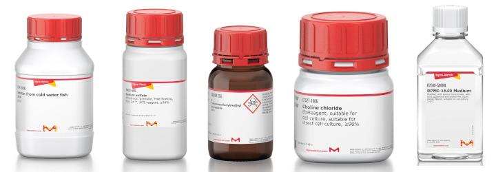 glutathione aldrich ʟ-Glutathione oxidized disodium salt – Di Giovanni glutathione aldrich ʟ-Glutathione oxidized disodium salt – Di Giovanni