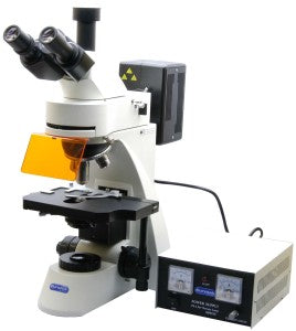 Microscopio Biologico Trinoculare a Fluorescenza HBO 100W